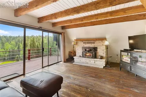 413 W Lake Dr, Divide, CO 80814 photo 8