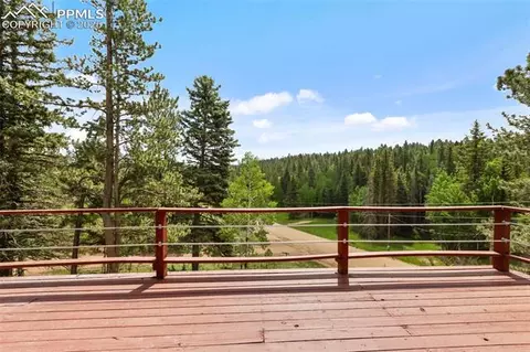 413 W Lake Dr, Divide, CO 80814 photo 28