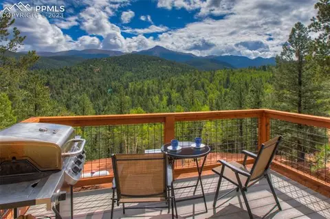 1180 Calcite Dr, Divide, CO 80814 photo 18