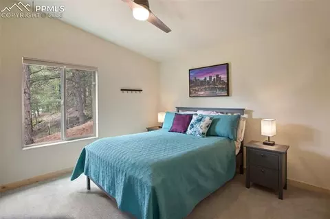 1180 Calcite Dr, Divide, CO 80814 photo 31