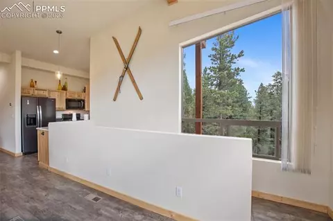 1180 Calcite Dr, Divide, CO 80814 photo 20