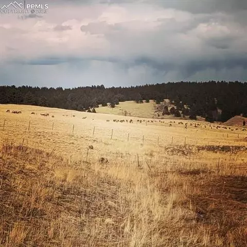 403 Silvermoon Hts, Divide, CO 80814 photo 29