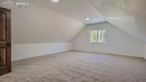 403 Silvermoon Hts, Divide, CO 80814 photo 20