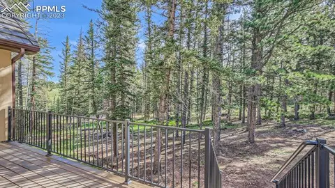 403 Silvermoon Hts, Divide, CO 80814 photo 22