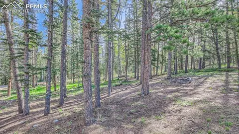 403 Silvermoon Hts, Divide, CO 80814 photo 23