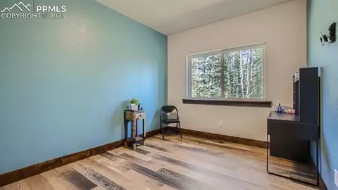 403 Silvermoon Hts, Divide, CO 80814 photo 14