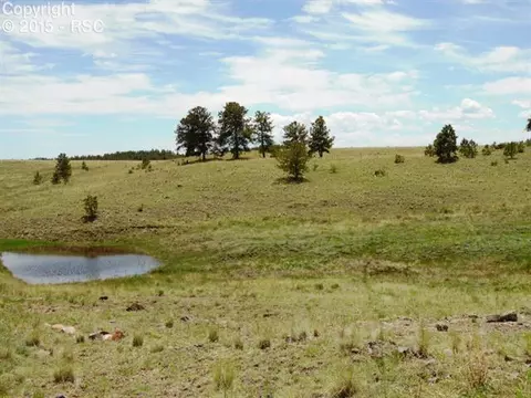 4573 County Road 71 Na Na, Guffey, CO 80820 photo 8