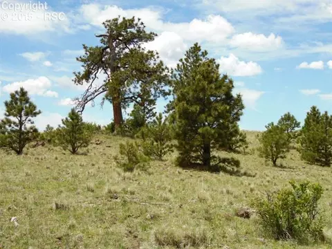 4573 County Road 71 Na Na, Guffey, CO 80820 photo 4