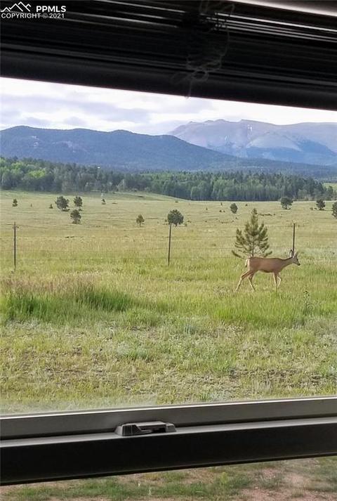 432 Doublet Ln, Divide, CO 80814 photo 23