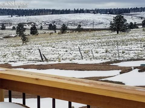 432 Doublet Ln, Divide, CO 80814 photo 24