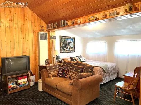 169 Giggey Grv, Divide, CO 80814 photo 7