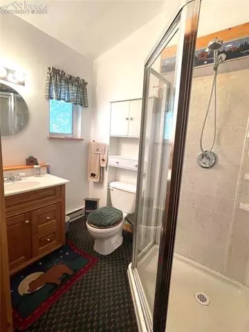 169 Giggey Grv, Divide, CO 80814 photo 5