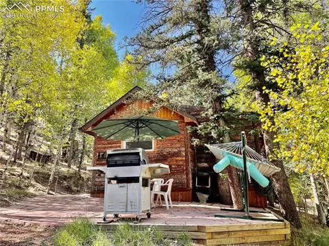 169 Giggey Grv, Divide, CO 80814 photo 2