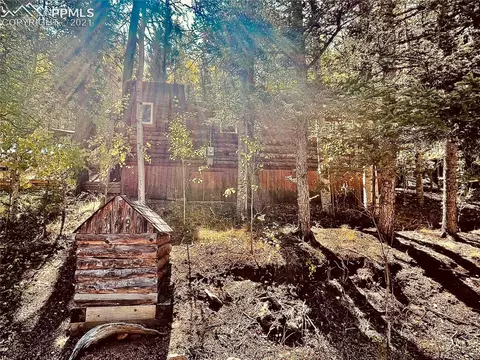 169 Giggey Grv, Divide, CO 80814 photo 1