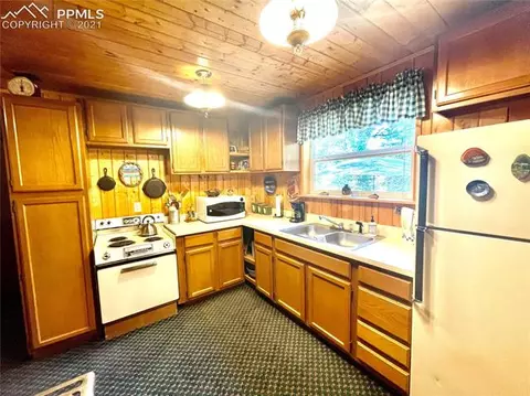 169 Giggey Grv, Divide, CO 80814 photo 12