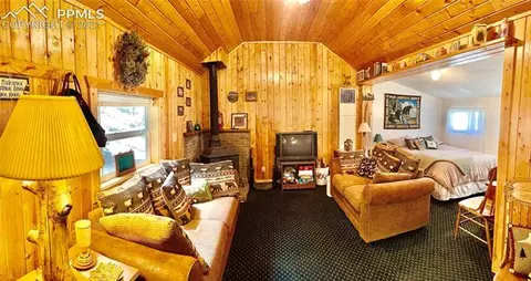 169 Giggey Grv, Divide, CO 80814 photo 10