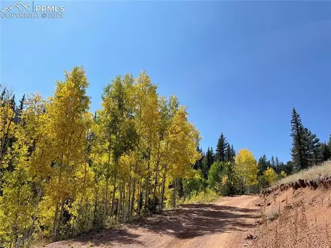 169 Giggey Grv, Divide, CO 80814 photo 14
