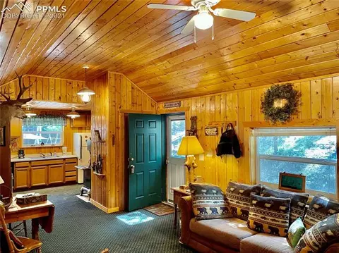169 Giggey Grv, Divide, CO 80814 photo 9