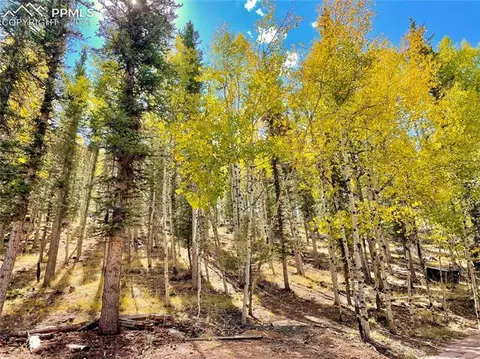 169 Giggey Grv, Divide, CO 80814 photo 3