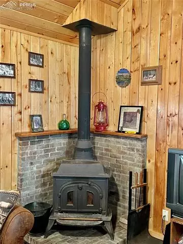 169 Giggey Grv, Divide, CO 80814 photo 8