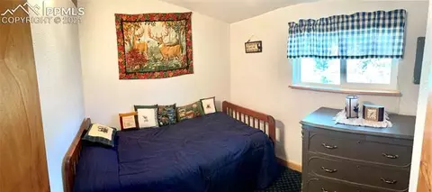 169 Giggey Grv, Divide, CO 80814 photo 6