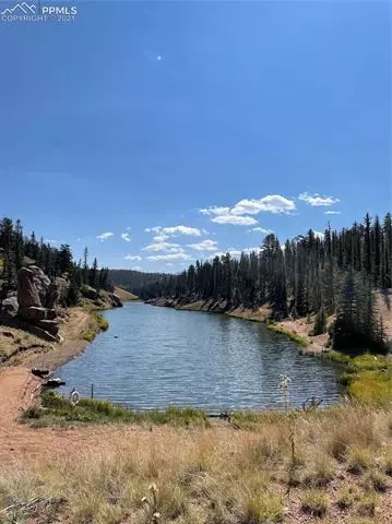 169 Giggey Grv, Divide, CO 80814 photo 13