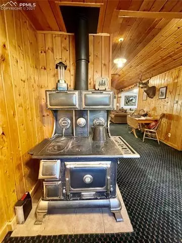 169 Giggey Grv, Divide, CO 80814 photo 11
