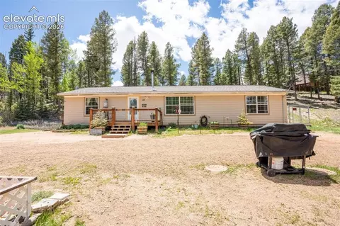 44 Silver Trl, Florissant, CO 80816
