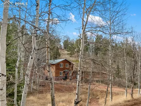 Other - 325 Willow Rd, Divide, CO 80814 photo 15 of 18