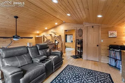 325 Willow Rd, Divide, CO 80814 photo 16
