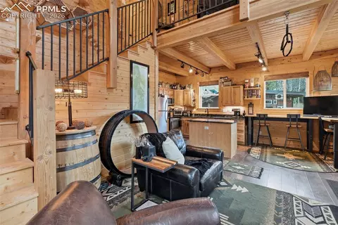 325 Willow Rd, Divide, CO 80814 photo 6