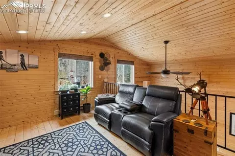 325 Willow Rd, Divide, CO 80814 photo 15