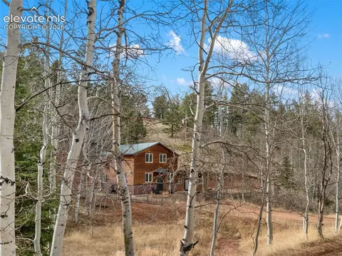 325 Willow Rd, Divide, CO 80814 photo 41