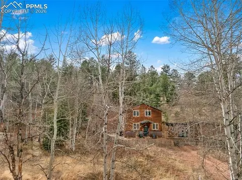 325 Willow Rd, Divide, CO 80814 photo 40