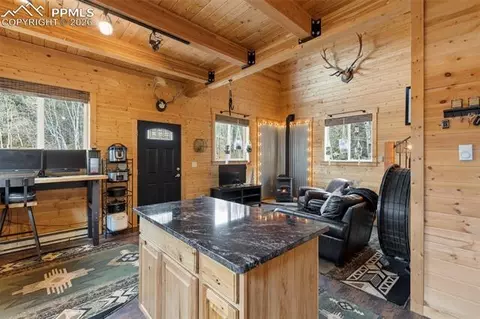 325 Willow Rd, Divide, CO 80814 photo 11