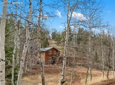 325 Willow Rd, Divide, CO 80814 photo 41
