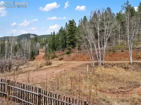 325 Willow Rd, Divide, CO 80814 photo 45