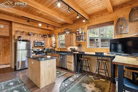325 Willow Rd, Divide, CO 80814 photo 12
