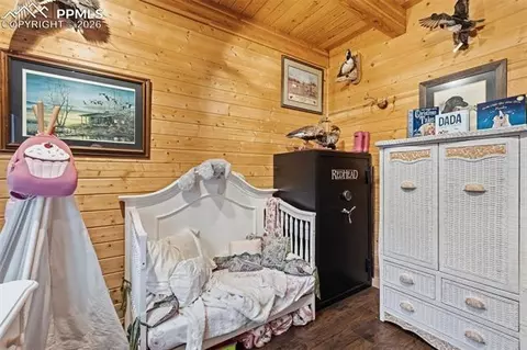 325 Willow Rd, Divide, CO 80814 photo 24