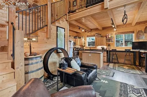 325 Willow Rd, Divide, CO 80814 photo 6