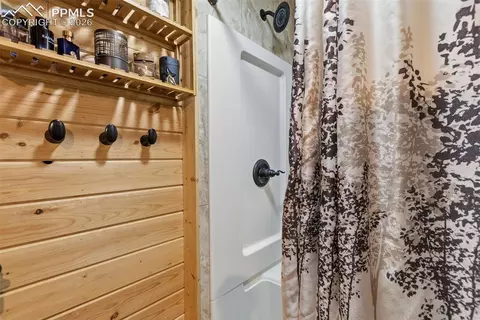 325 Willow Rd, Divide, CO 80814 photo 21