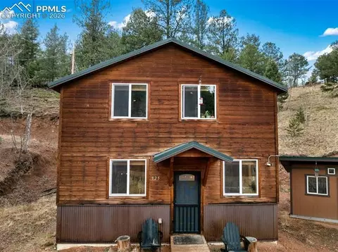 325 Willow Rd, Divide, CO 80814 photo 47
