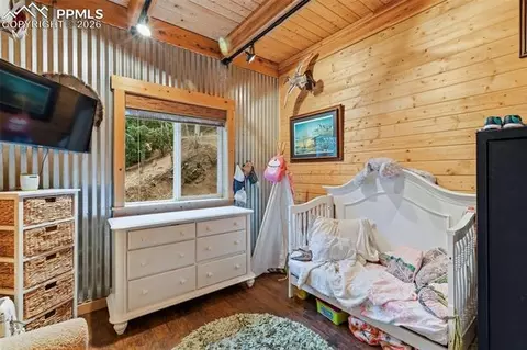 325 Willow Rd, Divide, CO 80814 photo 23
