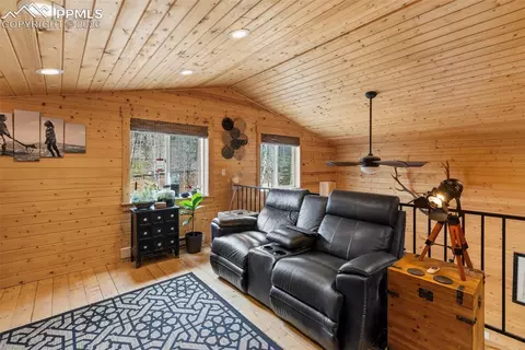 325 Willow Rd, Divide, CO 80814 photo 15