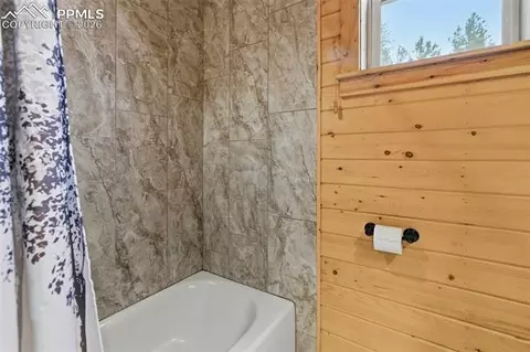 325 Willow Rd, Divide, CO 80814 photo 26