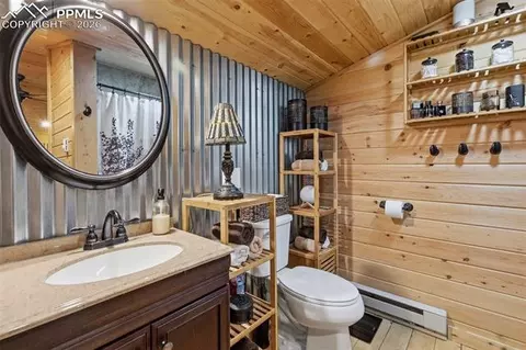 325 Willow Rd, Divide, CO 80814 photo 20