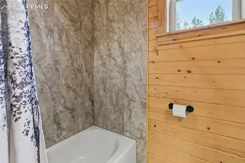 325 Willow Rd, Divide, CO 80814 photo 26