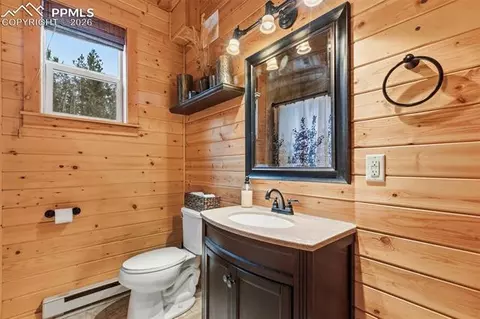 325 Willow Rd, Divide, CO 80814 photo 25
