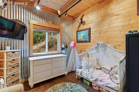 325 Willow Rd, Divide, CO 80814 photo 23