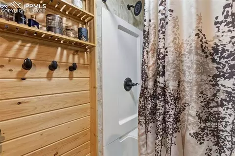 325 Willow Rd, Divide, CO 80814 photo 21